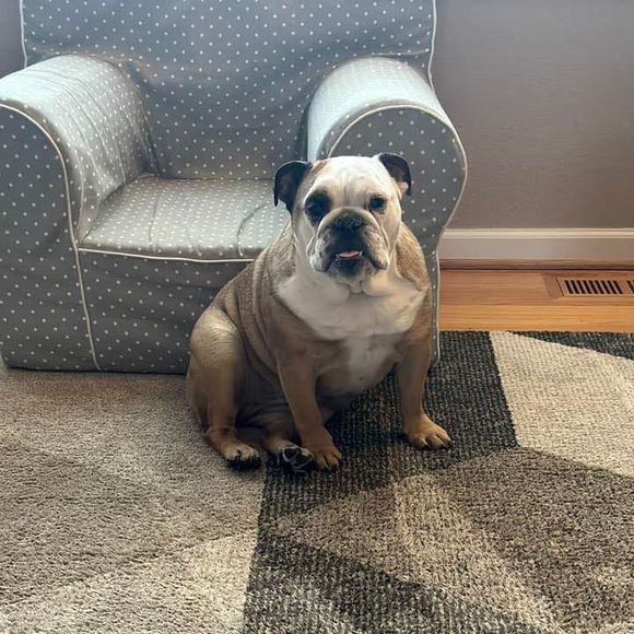 Meet your Posher, Lonna - Picture 1 of 1